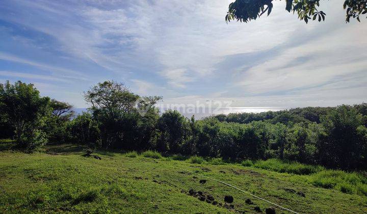  Dijual Tanah Super Murah Pinggir Tebing Uluwatu Lsak 2