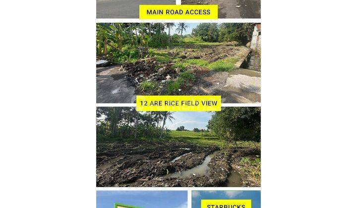  Beraban, Tabanan Very Strategic Location Land For Sale Lsno 1