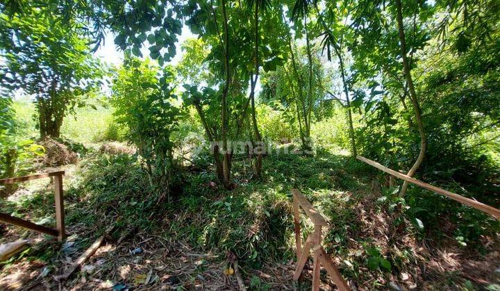  Land For Lease In Pererenan, Bali Llyg 1