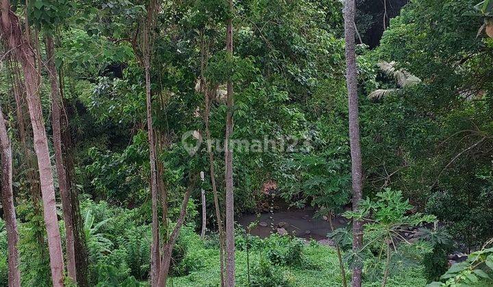  Los Sungai Land for sale in Buwit, Tabanan Lsyg 1