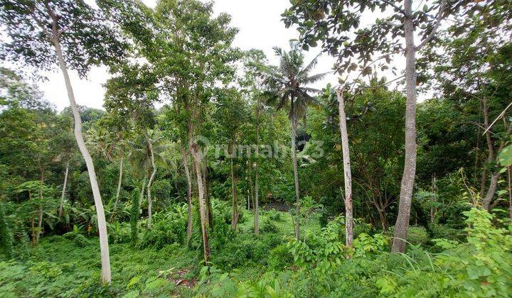  Los Sungai Land for sale in Buwit, Tabanan Lsyg 2