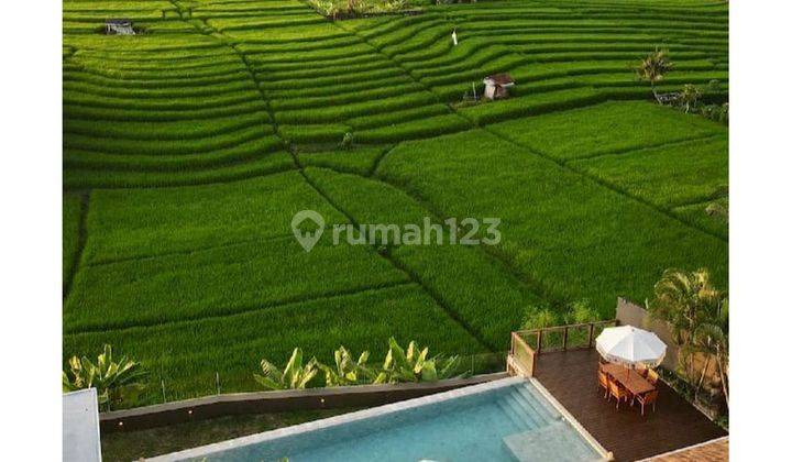  Dijual For Sale Freehold Villa Zorro Paddi View Vskhe 2