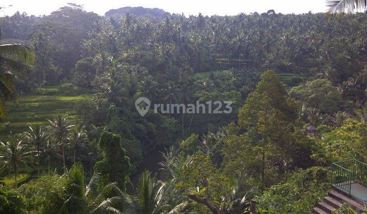 Los Sungai Ayung Premium Location Land in Sayan ubud 2