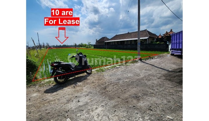 FOR RENT – LAND IN PANTAI CEMAGI (PINK ZONE) - LSME