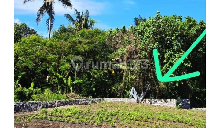FOR SALE LAND Location: Tibubiu, Tabanan