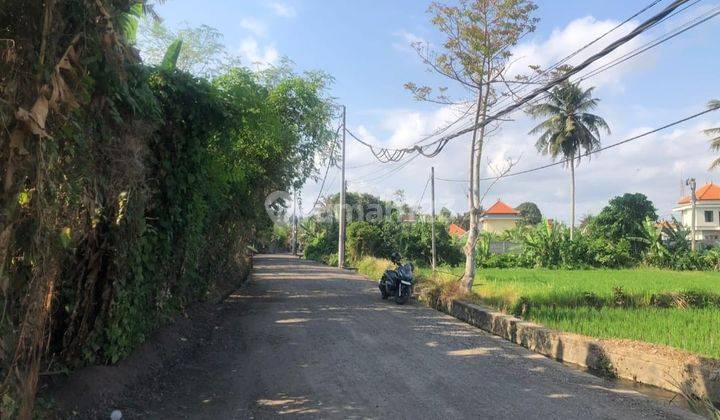 Freehold Land Location Ubud Sakah Sukawati Gianyar Bali Lskt 2