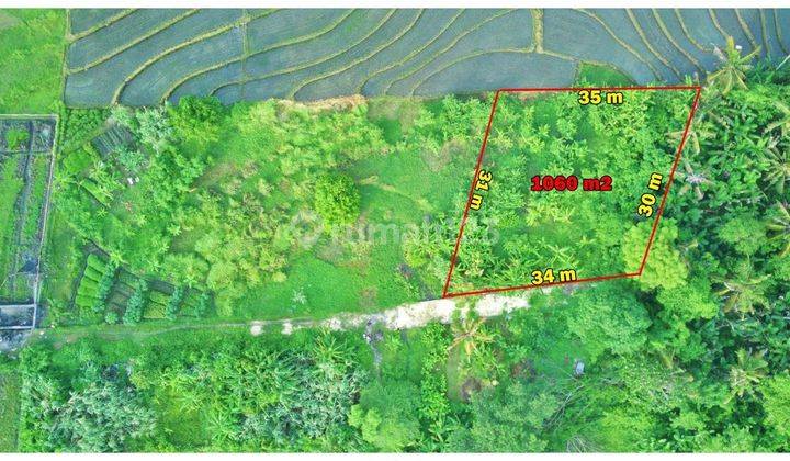  Dijual Tanah Pantai Nyanyi Kediri Lsad 2