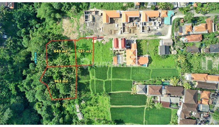 Land for sale Tirta Tawar Ubud Bali Los Sungai Lsad 1