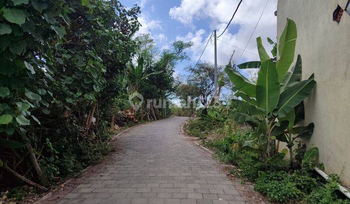  Tanah Termurah Area Kampus Unud Jimbaran Bali Lskt 2