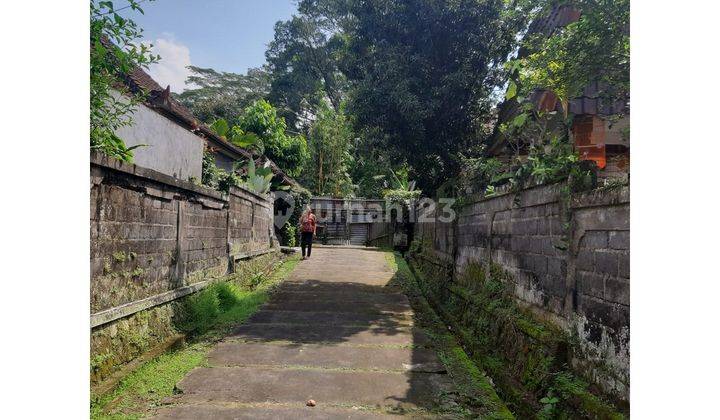  Exclusive Land for Sale in Kelaba Muding, Ubud - LSSU 2