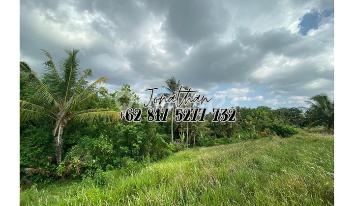 Land for Sale in Kaba-Kaba Tabanan with Rice Field View - LSYT