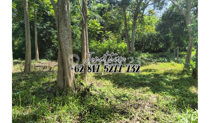 For Sale 215 m2 Land in Labuan Sait Villa Complex Facing North - LSBA