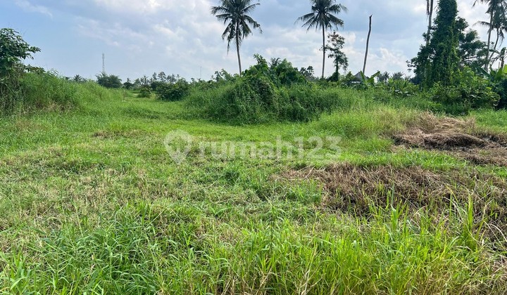 Dijual tanah kavling yang terletak di area desa Belalang - LSKT Dijual tanah kavling yang terletak di area desa Belalang - LSKT