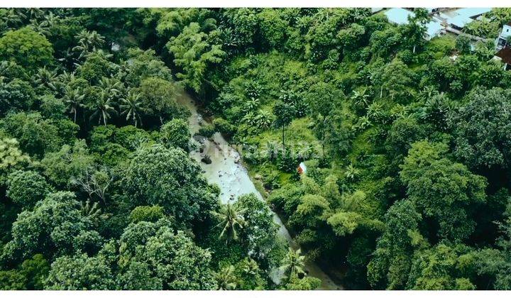  Dijual Tanah lokasi Pandak Gede Tabanan 2