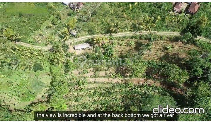 For Sale Super Cheap Land With Forest And Ayung River View Lskt 2