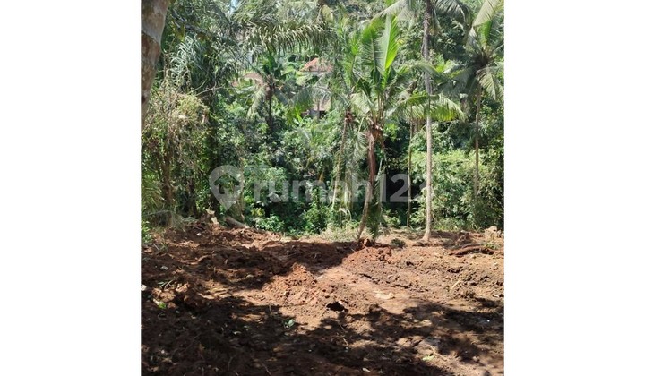 DIJUAL TANAH EKSKLUSIF DI SAYAN – UBUD DIJUAL TANAH EKSKLUSIF DI SAYAN – UBUD