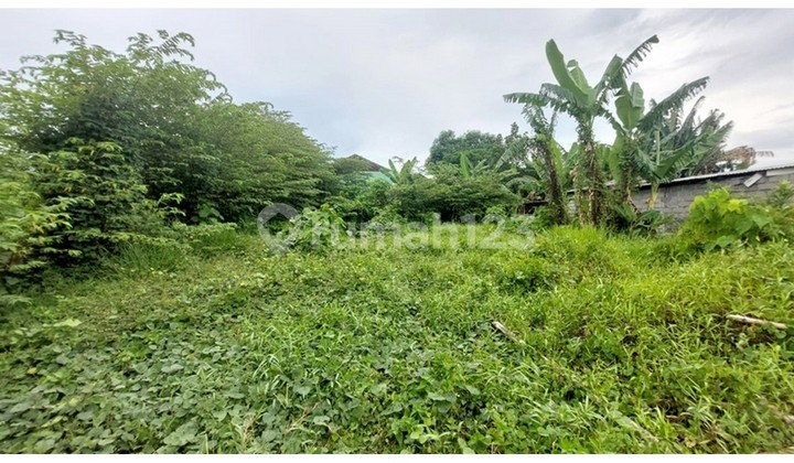 TANAH DIJUAL/DISEWA DI RAYA CANGGU - LSYG TANAH DIJUAL/DISEWA DI RAYA CANGGU - LSYG