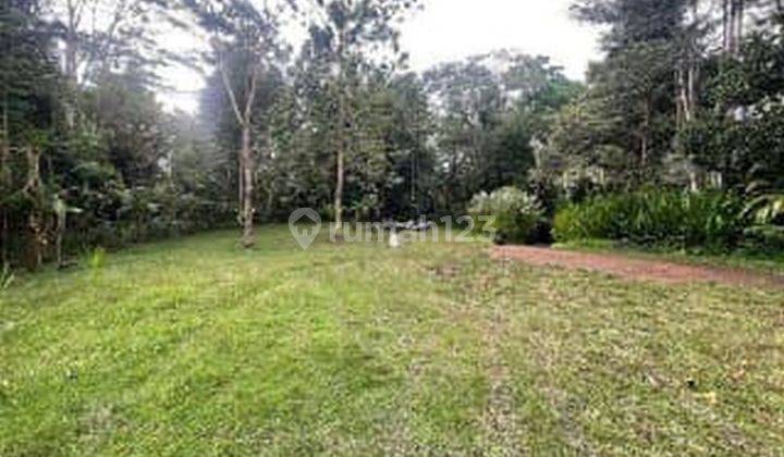 DIJUAL TANAH UTK WISATA WATERFAL Goa Rang Reng 1