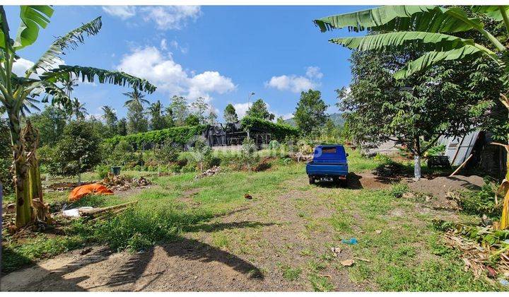  Land for sale in Busungbiu, Buleleng 1