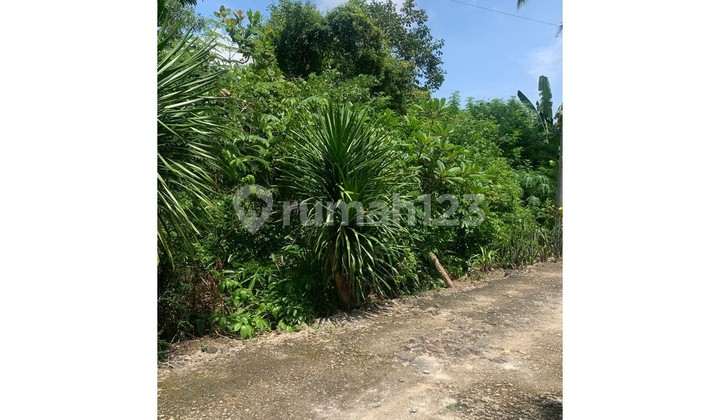  DIJUAL TANAH LOKASI NUSA PENIDA