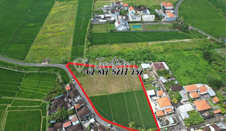 Disewakan Tanah Minimal Ambil 10 Are. Lokasi Kaba-Kaba,Tabanan - Llwy Disewakan Tanah Minimal Ambil 10 Are. Lokasi Kaba-Kaba,Tabanan - Llwy