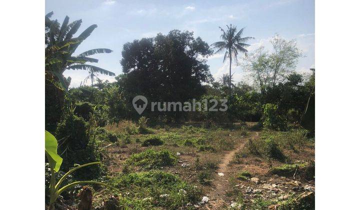 Freehold Land Location Ubud Sakah Sukawati Gianyar Bali Lskt 1