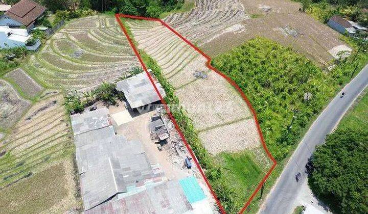 Land for sale on the main road of Kaba Kaba Tabanan 1