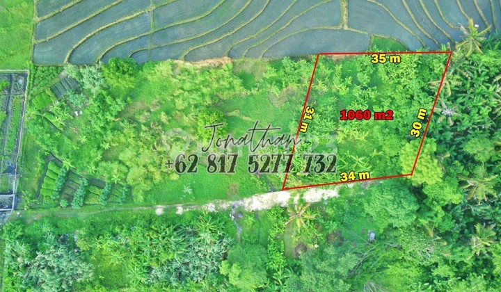 Tanah Freehold Akomodasi Wisata Dekat Pantai Nyanyi Tabanan Bali - Lsadt Tanah Freehold Akomodasi Wisata Dekat Pantai Nyanyi Tabanan Bali - Lsadt