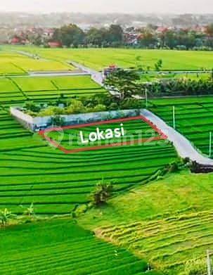  Dijual Tanah Lokasi Pantai Nyanyi , Harga Dibawah Pasaran , Lskni 1