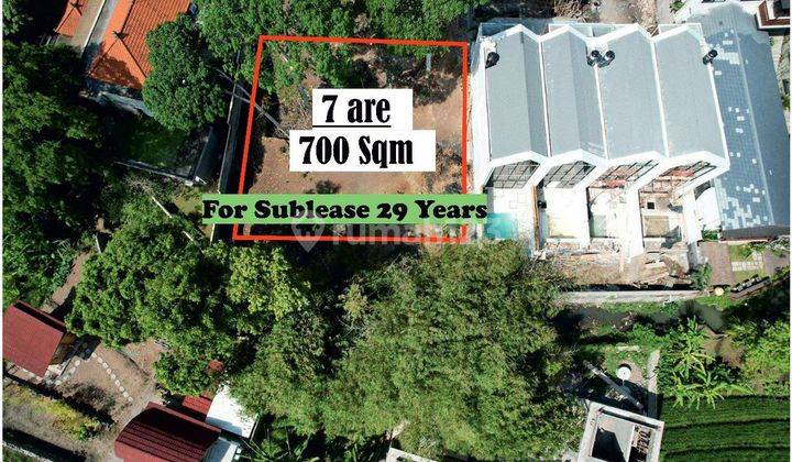  For Lease Prime Land In Batubolong 1