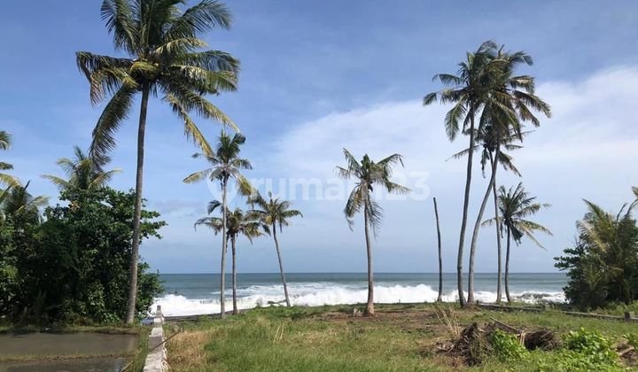 Land For Lease Beach Front In Tabanan 1