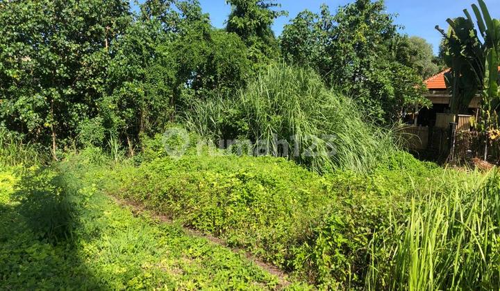 Dijual Tanah Kawasan Villa Dekat Ke Pantai Cemagi Mengwi 1