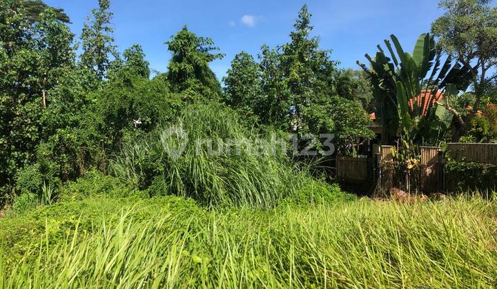 Dijual Tanah Kawasan Villa Dekat Ke Pantai Cemagi Mengwi 4