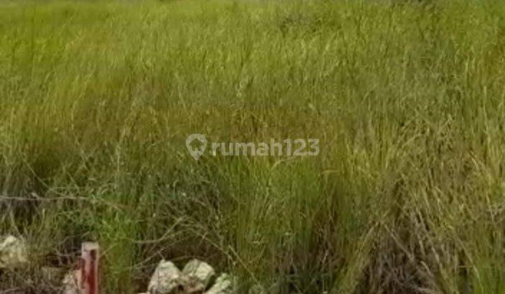 Tanah View Sawah Dan Laut Di Pererenan Badung Bali 2
