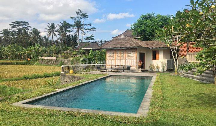 Elegant Tropical Villa Full View Sawah Pejeng Gianyar 12