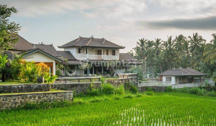 Elegant Tropical Villa Full View Sawah Pejeng Gianyar 13