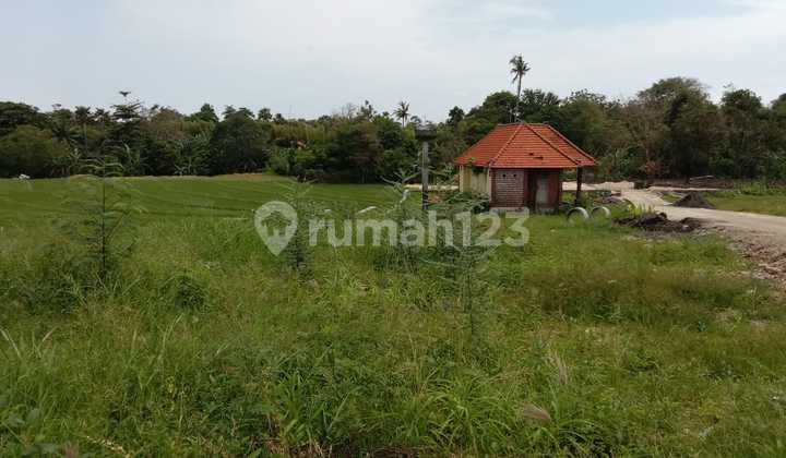 Dijual Tanah Kecil Di Central Pantai Berawa Canggu 4