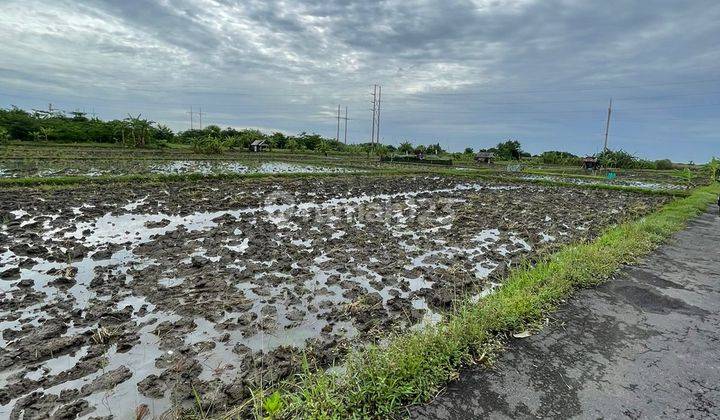 Tanah Beachfront Dan Jl Utama Bypass Ida Bagus Mantra Kesiman 6