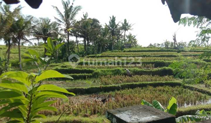 Di Jual Rumah 2 Lt Di Perumahan di Jagapati Abiansemal Badung 2