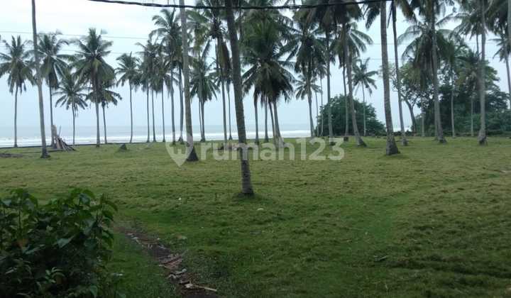 Dijual Cepat Sebidang Tanah Kosong Los Pantai Dan Jalan Raya Denpasar 1