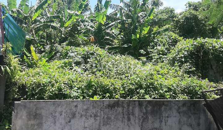 Dijual Tanah Kosong, Lokasi Jalan Cargo Permai 1