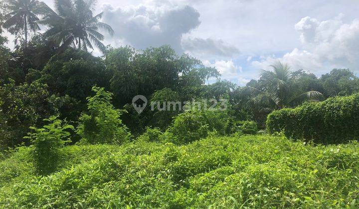 Disewakan Tanah Di Jl Utama Pasar Sembung Raya Denpasar Bedugul 5