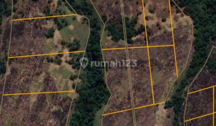 Dijual Los Tanah Pantai Sumba Nusa Tenggara Timur 4