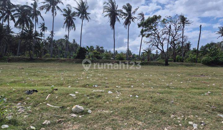 R07012 Rare Land Beachfront Saba Beach Gianyar 2