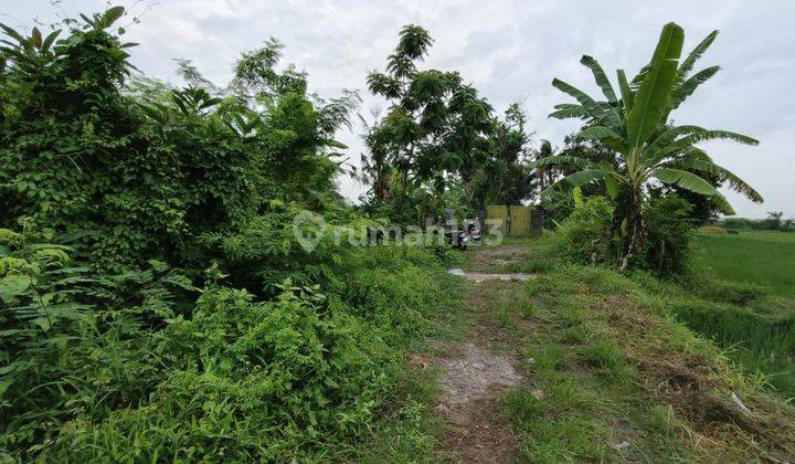 B04016 Tanah View Laut Ida Bagus Mantra Tulikup Gianyar dkt Pantai Siyut 1