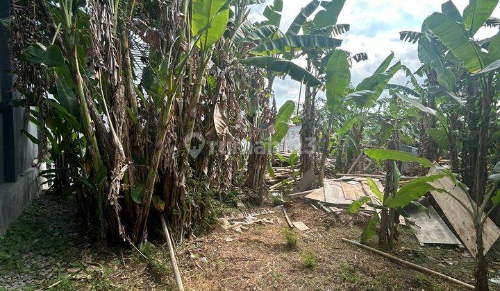 R08010 Land for sale in Pandak Gede Near Tabanan lot land 2