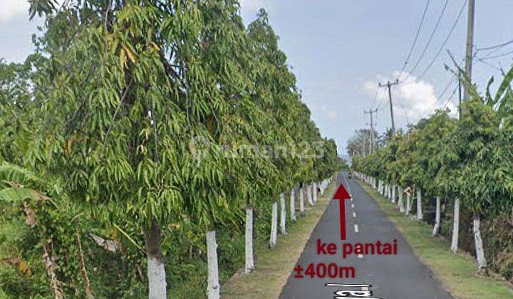 R08025 Land for sale 27 are in Yeh Gangga Sudimara Tabanan  1