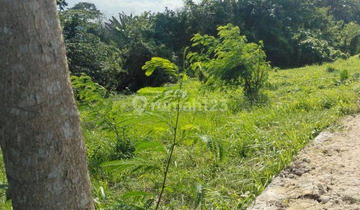 R08060 Land for sale in Nyitdah near Kedungu Beach Tabanan 2