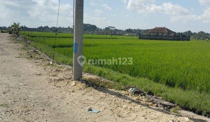 R08060 Land for sale in Nyitdah near Kedungu Beach Tabanan 1