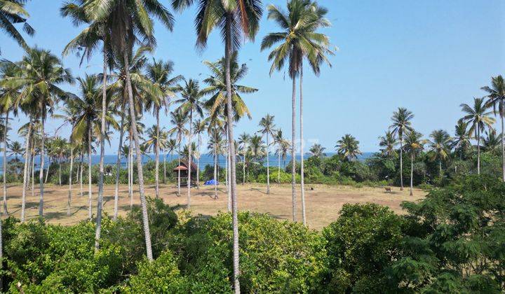 B04057 Cheap Land Below Market 50 M To Mejan Beach Sea View And Rice Fields Near Balian Beach Selemadeg Tabanan 2